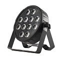 ��������� ESTRADA PRO LED PAR 1212