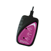 ACME CA-2X ����������